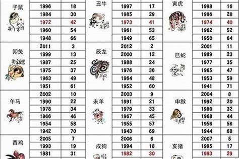 2000 年属什么|2000年出生的属什么,2000年是什么生肖